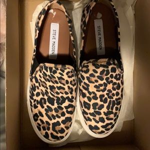 Leopard Steve Madden